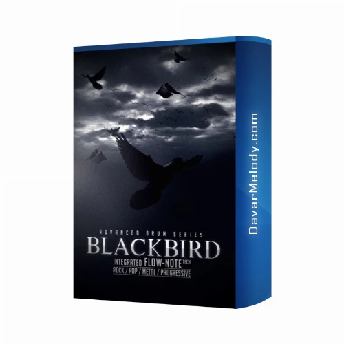 قیمت خرید فروش نرم افزار ایت دیو مدل Advanced Drum Series Blackbird